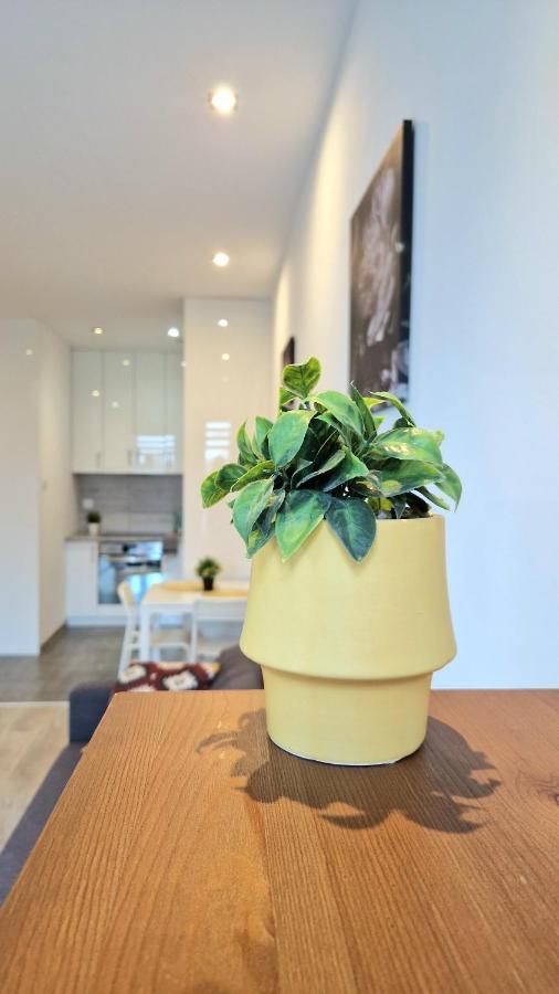 Apartament Czechowska Comfort 루블린 외부 사진